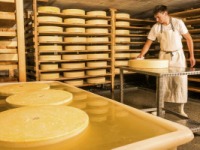 Cheese: Spotlight on Natural - US - November 2015